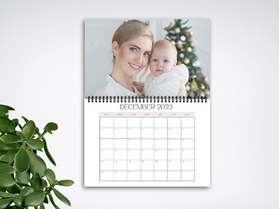 photo calendar of woman and newborn baby on wall near plant