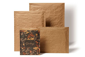 Kraft recyclable padded mailers