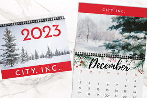 A company custom printed 2023 calendar